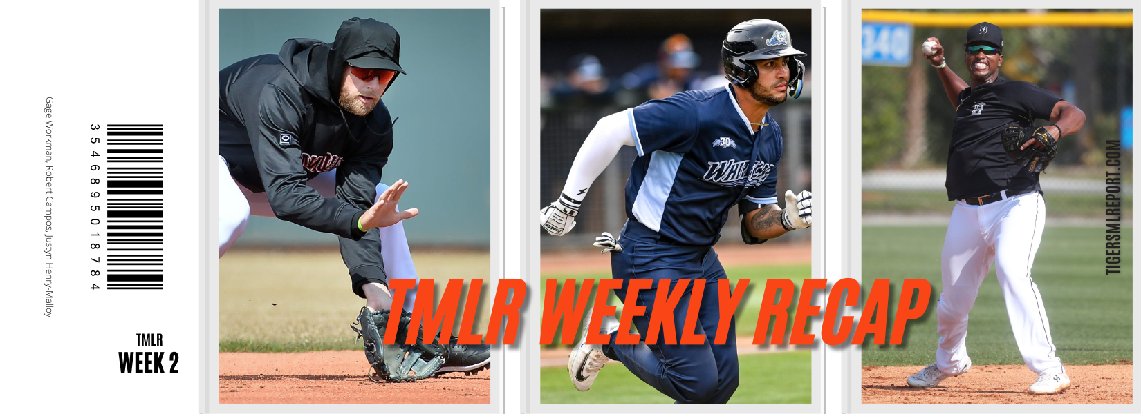 Detroit Tigers Minor League Recap Week 2: Early Hitting Heros