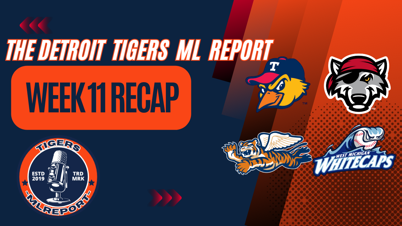 Tigers Minor League Report