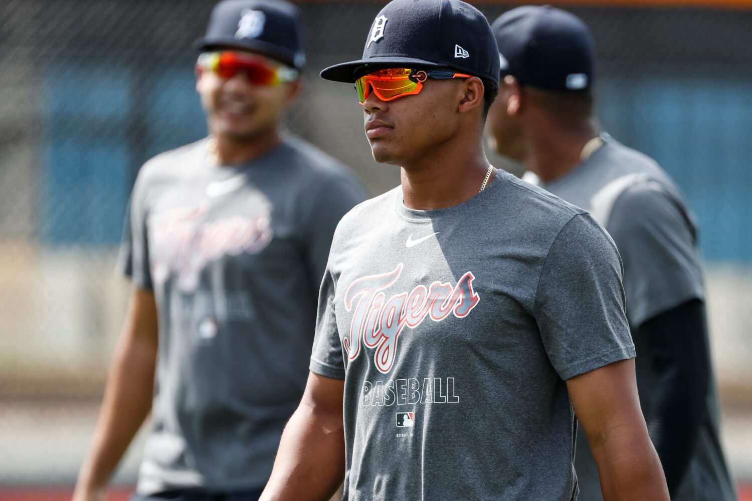 Detroit Tigers: What to Expect from Wenceel Perez