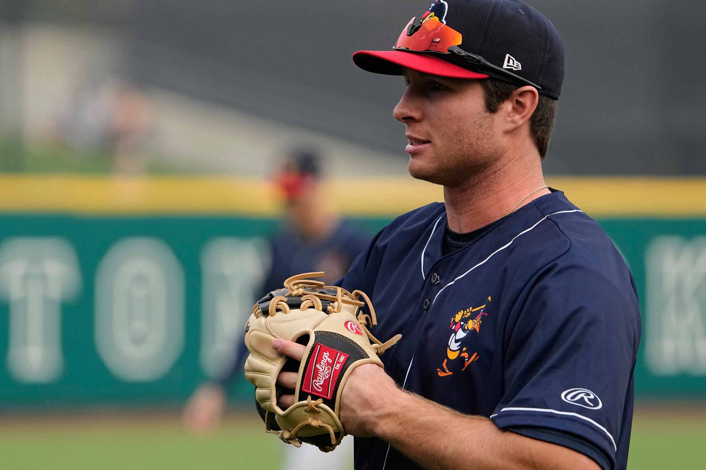 Tigers Quarter Century