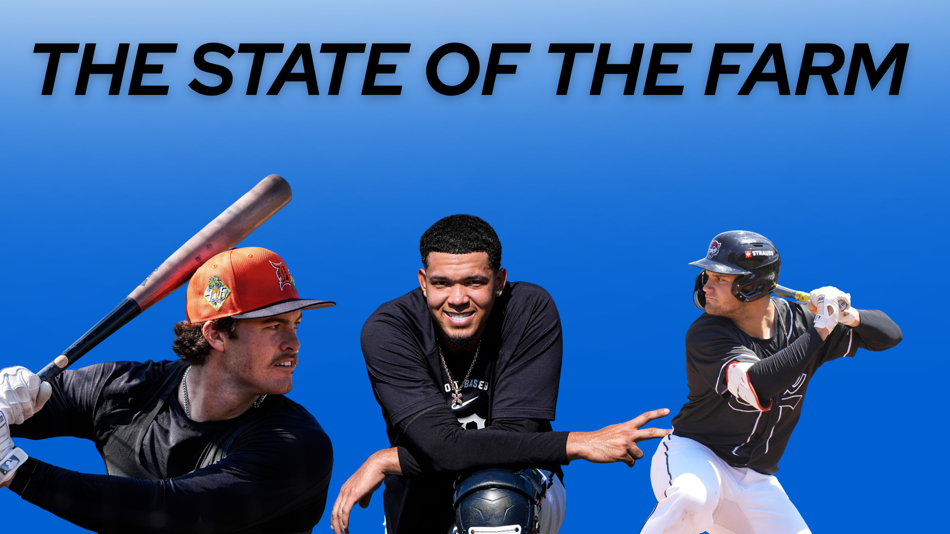Detroit Tigers Farm System